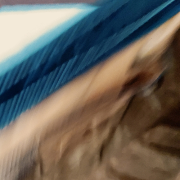 Kathy Van Zeeland bag - Picture 6 of 6